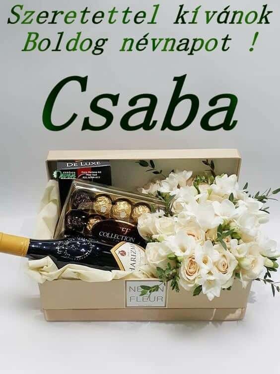 csaba